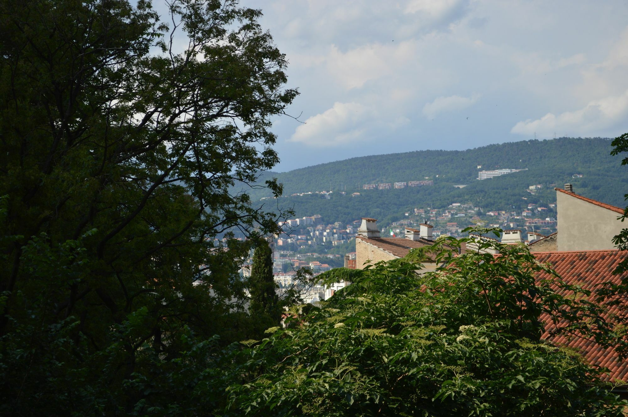 Casa Vacanze All'Angolo Trieste Eksteriør billede